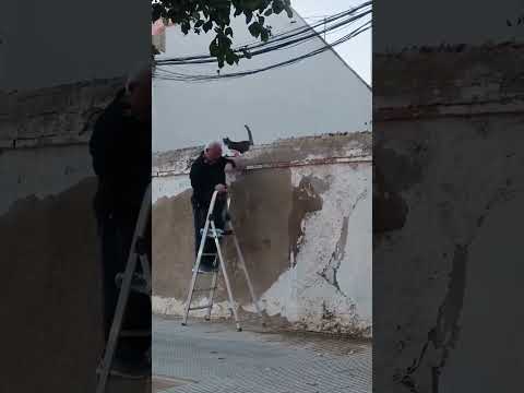 Momentos únicos na vida 💖🐾