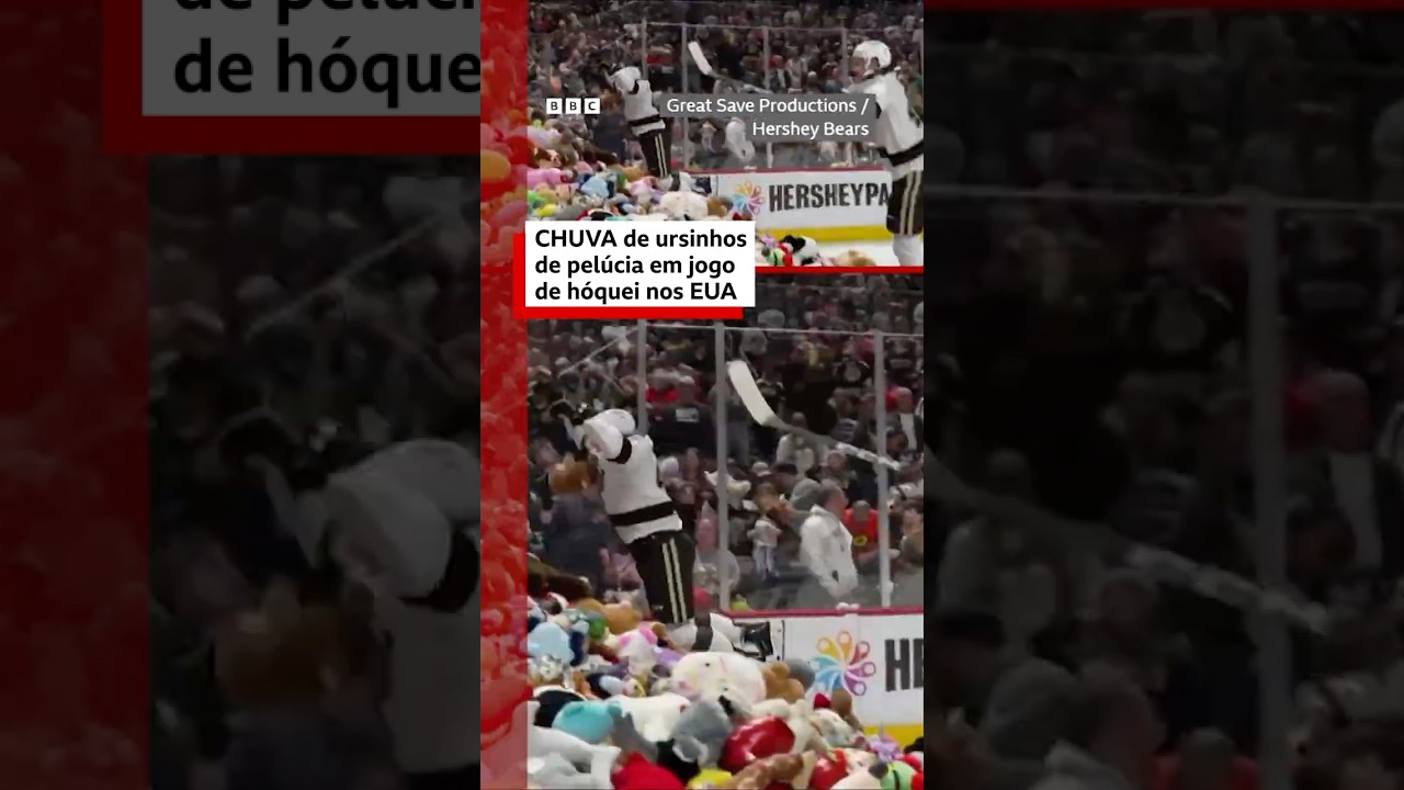 Milhares de ursinhos de pelúcia chovem em partida de hóquei no gelo nos EUA