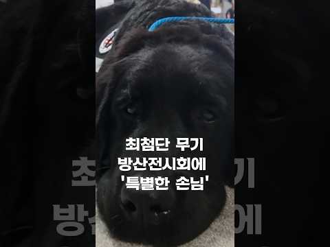 방산전시회에 최첨단 무기 대신 나타난 '특별한 손님' #shorts