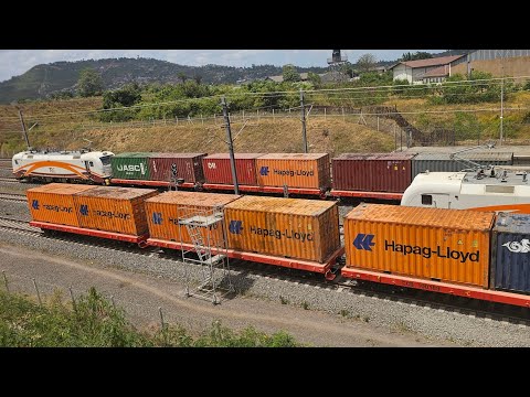 TRC YAANZA RASMI USAFIRISHAJI WA MIZIGO KWA KUTUMIA CONTAINER CARRIERS SGR