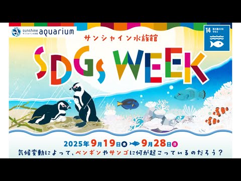 サンシャイン水族館で学ぶSDGsとアクアポニックスの取り組み サムネイル