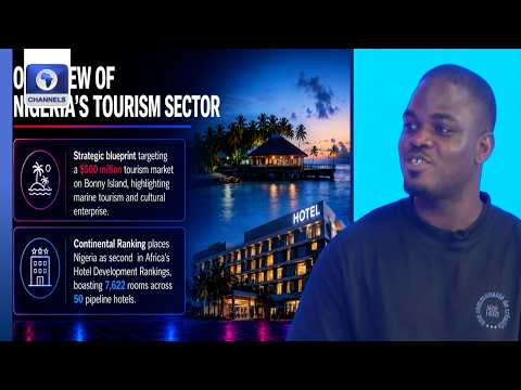 Visa Fee To Nigeria Too Expensive - Expert