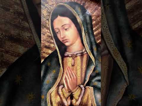 Momento destacado en directo