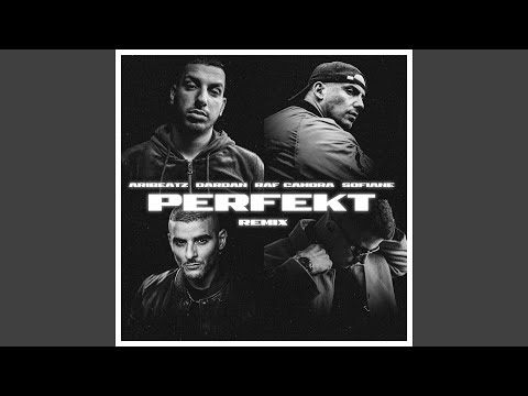 Perfekt (Remix)