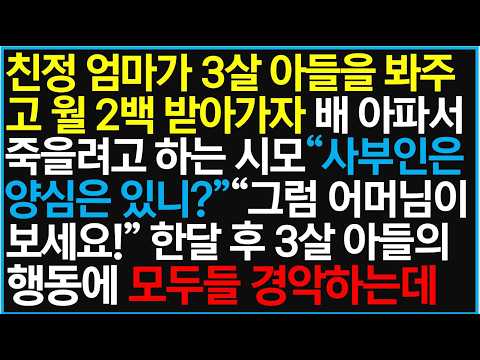 친정 엄마가 3살 아들을 봐주고 월 2백 받아가자 배 아파서 죽을려고 하는 시모 "사부인은 양심은 있니?" 그럼 어머님이 보세요!" 한달 후 3살 아들의 행동에 모두들 경악하는데