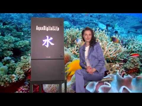 Innovative Aquarium