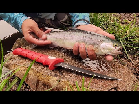 Camp, Explore, Catch and Cook WILD Trout! ~ Off-road Adventure