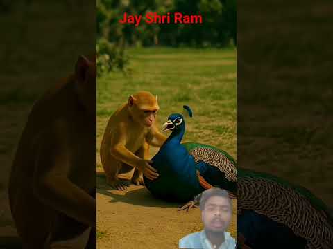 #animals #amazingfacts #funny #facts #funny #monkey #funny #ekmotahathighumechala