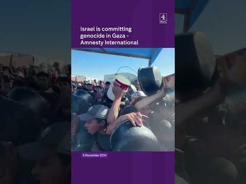 Amnesty accuses Israel of Gaza genocide