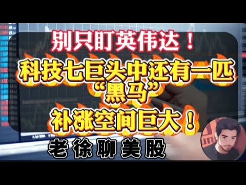 别只盯着英伟达，科技七巨头中，唯一还有大幅补涨空间的股票横空出世，本周有望迎来暴涨行情！百年难遇的机会正在浮现！#财经 #投資 #纳斯达克 #美股 #金融 