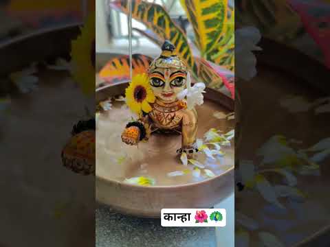 लड्डू गोपाल स्नान 🙏🌺#bhakti #vrindavan #radharani #radheshyaam #viral #shorts #ytshorts#yt