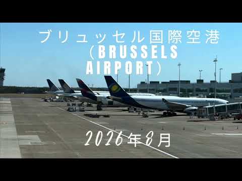 ブリュッセル空港に駐機している航空機の様子です。