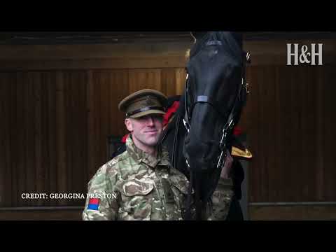Thank you, Lord Firebrand | Long-Serving Army Horse Retires at London
International Horse Show