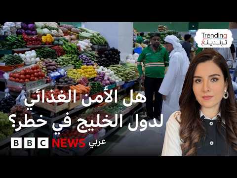 الأمن الغذائي الخليجي.. هل يتأثر بالحرب مع إيران وتعطل الشحن في مضيق هرمز؟