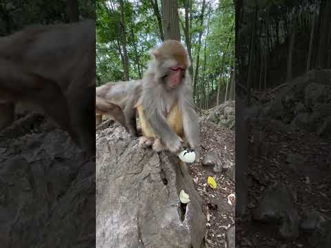 Ngon vậy mà chê😂 #funny #viral #xuhuongyoutube