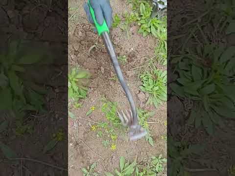 #foodproduction #amazingmachinery #automobile #foodbusiness #agriculture #farm #foodsector #farm