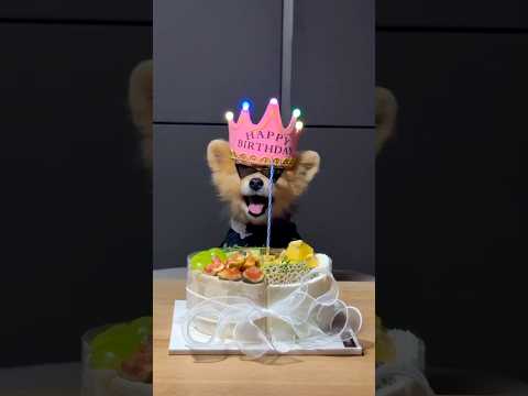 My Boss Baby Turns <strong>15</strong>
