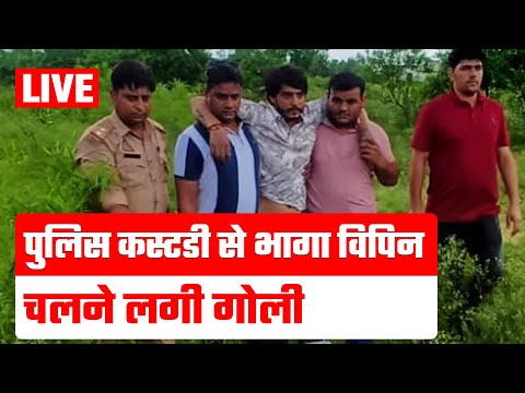 'विपिन भाटी को हो फांसी हो' LIVE |Nikki Murder Case Breaking LIVE | Greater Noida | Vipin