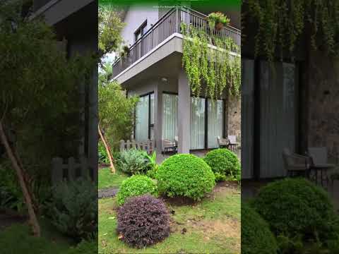 Một buổi sáng, một tách trà, một niềm hạnh phúc. #ngocvenland #ecoretreat #ecoretreatlongan #longan