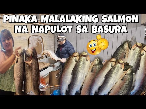 PINAKAMALAKING MGA SALMON NA NAKUHA SA BASURAHAN | DUMPSTER DIVING IN FINLAND | THAI-FINNISH 