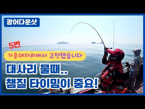 광어다운샷 - 대사리 물때.. 챔질 타이밍이 중요합니다.