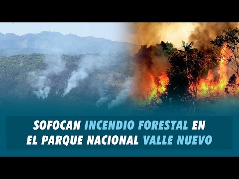 Sofocan incendio forestal en el Parque Nacional Valle Nuevo | Matinal