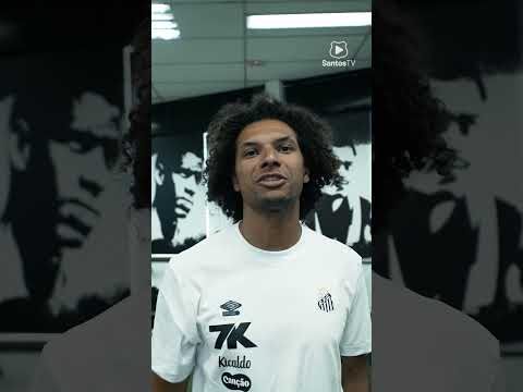 image para ilustrar o artigo