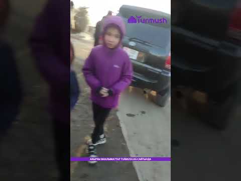 Караколдо жол кырсыгы катталып, унаалар талкаланды