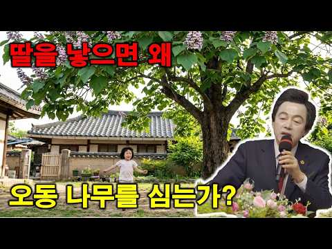 옛날에 딸을 낳으면 오동나무를 심으라고 한 이유 - 허경영 -