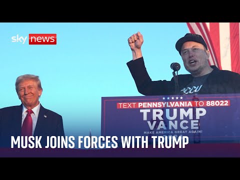 Elon Musk picked to head up Trump's new efficiency department