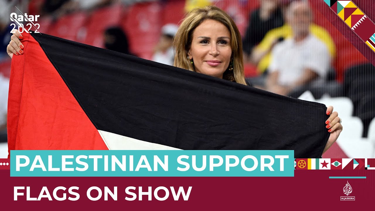 Palestinian solidarity at the World Cup in Qatar | Al Jazeera Newsfeed