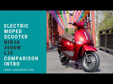 China Electric Scooter Ninja Road Legal Review 2021