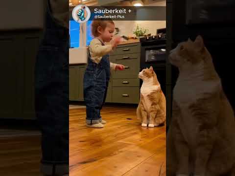 When your boss is two years old 👶🐾