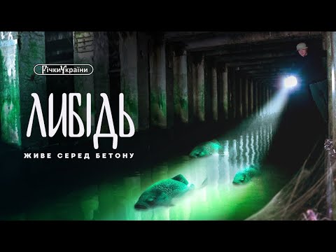 Річки України. Либідь. Живе серед бетону