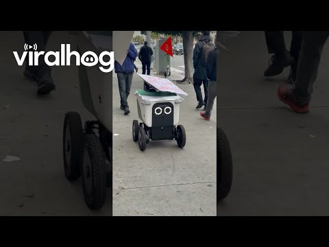 Delivery Robot Joins Human Protest || ViralHog