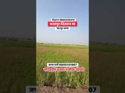 10 धुर सस्तो जग्गा बिक्रि मा आयो मौका को फाइदा लिनुहोस #gharjaggchitwan #realestatechitwan
