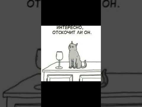 Про растение вегана и кошку