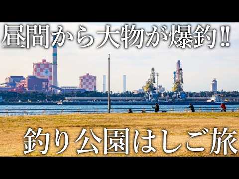 激戦釣り場で一人勝ち！昼間から大物が入れ食いになる［エビ撒き釣法］がスゴイ【釣り公園はしご旅】