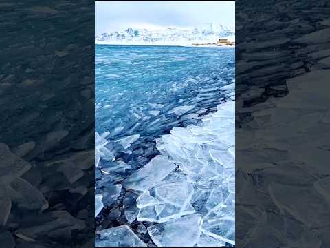 अगर सारी 😱 बर्फ पिघल गई तो | 😱धरती का क्या होगा | 😱 Scary Facts in Hindi #facts #hindistories