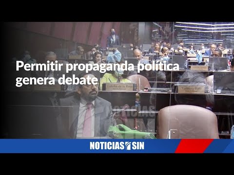 Permitir propaganda en precampaña genera debate