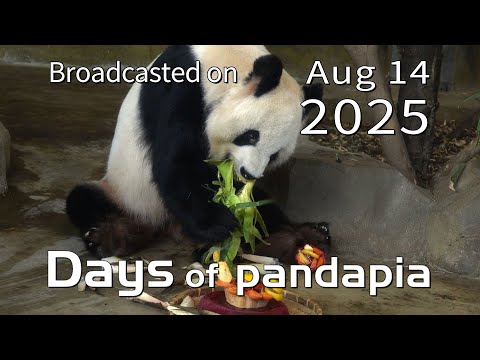 20250814 Broadcast Top Highlights 05