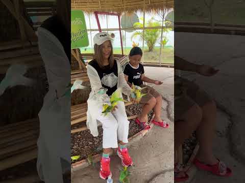 ชอบจังเลยแบบนี้ #automobile #lifeisbutadream #haveitoldyoulatelythatiloveyou #vlog #travel #cooking