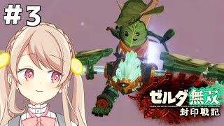 ＃3【ゼルダ無双封印戦記】ティアキンの過去を見に行く