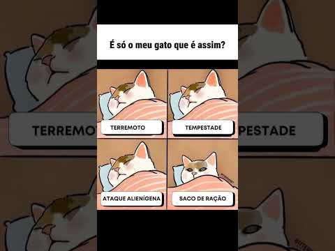 Todos os gatos vem com esse defeito de fábrica