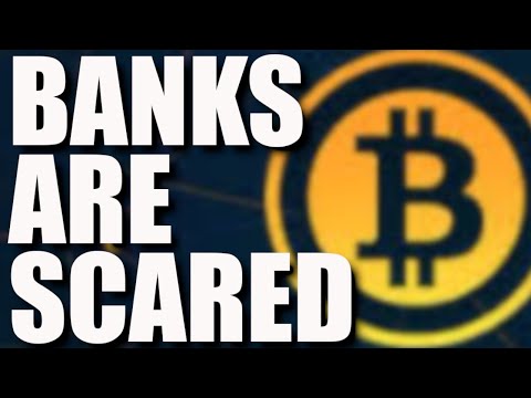 February Bull Run, New Ripple Partners, Buying Altcoins, Rothschild Buys Bitcoin & Buying The Dip?