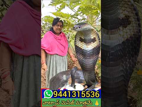 #మంజులమ్మ పక్కన🪱#viral #shorts .