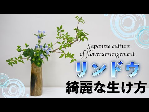 【生け花】実はムズイ...