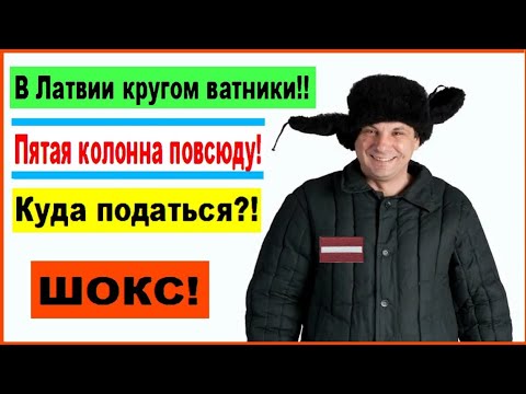 ШОКС! «В Латвии кругом ватники! Пятая колонна повсюду! Куда податься?!»