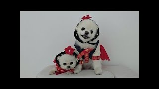 動画サムネイル