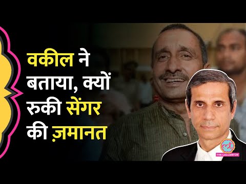 Unnao Rape Case: पीड़िता के वकील ने CBI पर क्या आरोप, Kuldeep Sengar पर Supreme Court में क्या हुआ?